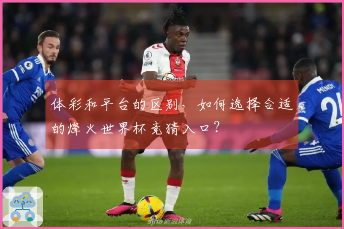 体彩和平台的区别，如何选择合适的烽火世界杯竞猜入口？
