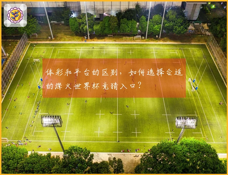 体彩和平台的区别，如何选择合适的烽火世界杯竞猜入口？